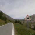 AGNEL