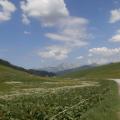 ARAVIS (1)