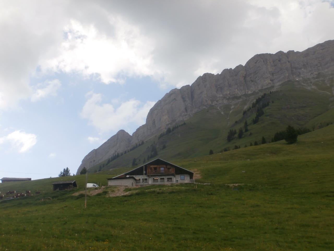 ARAVIS (17)