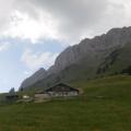 ARAVIS (17)