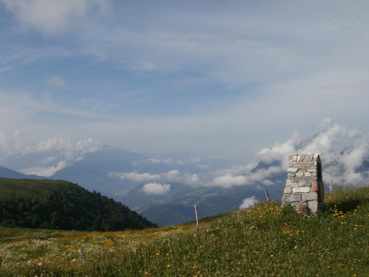 ARPETTAZ (2)