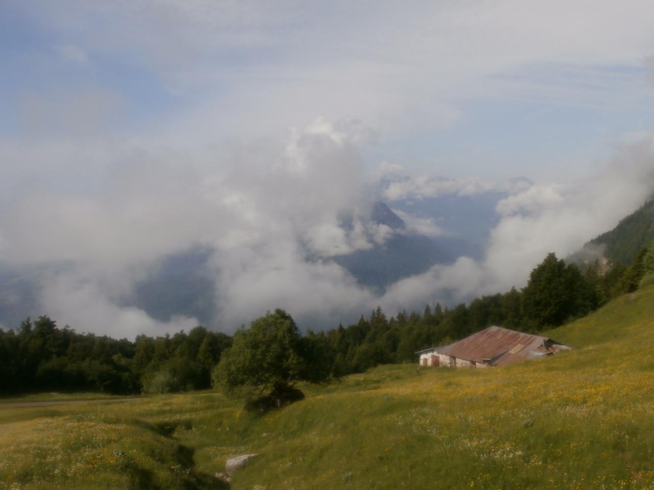 ARPETTAZ (27)