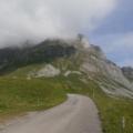 ARPETTAZ (5)