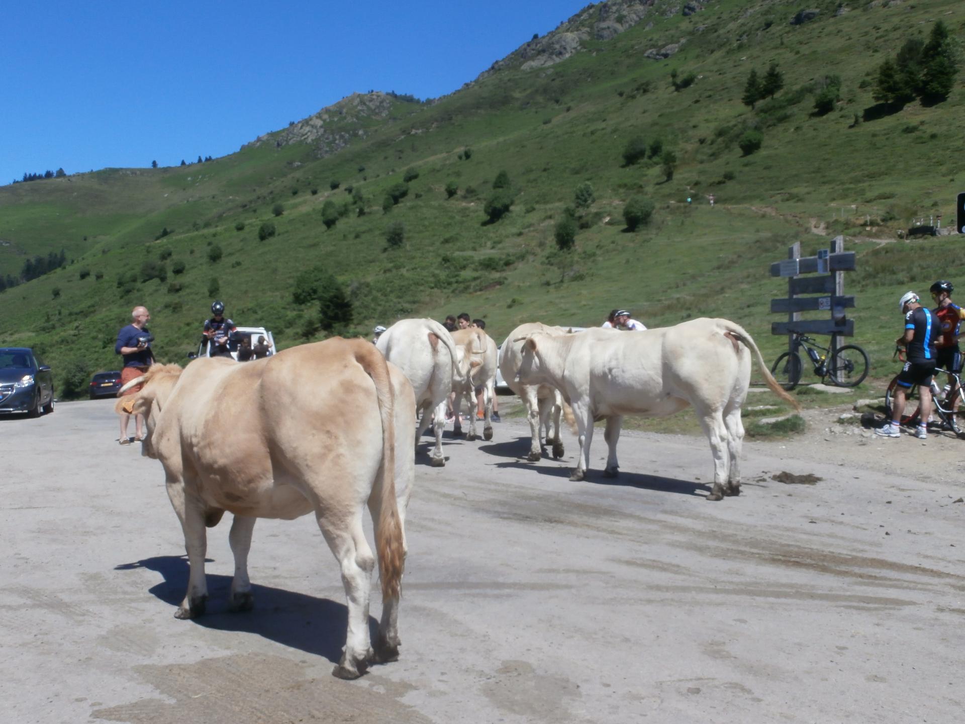 ASPIN 2018 