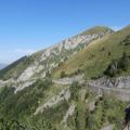 AUBISQUE (12)