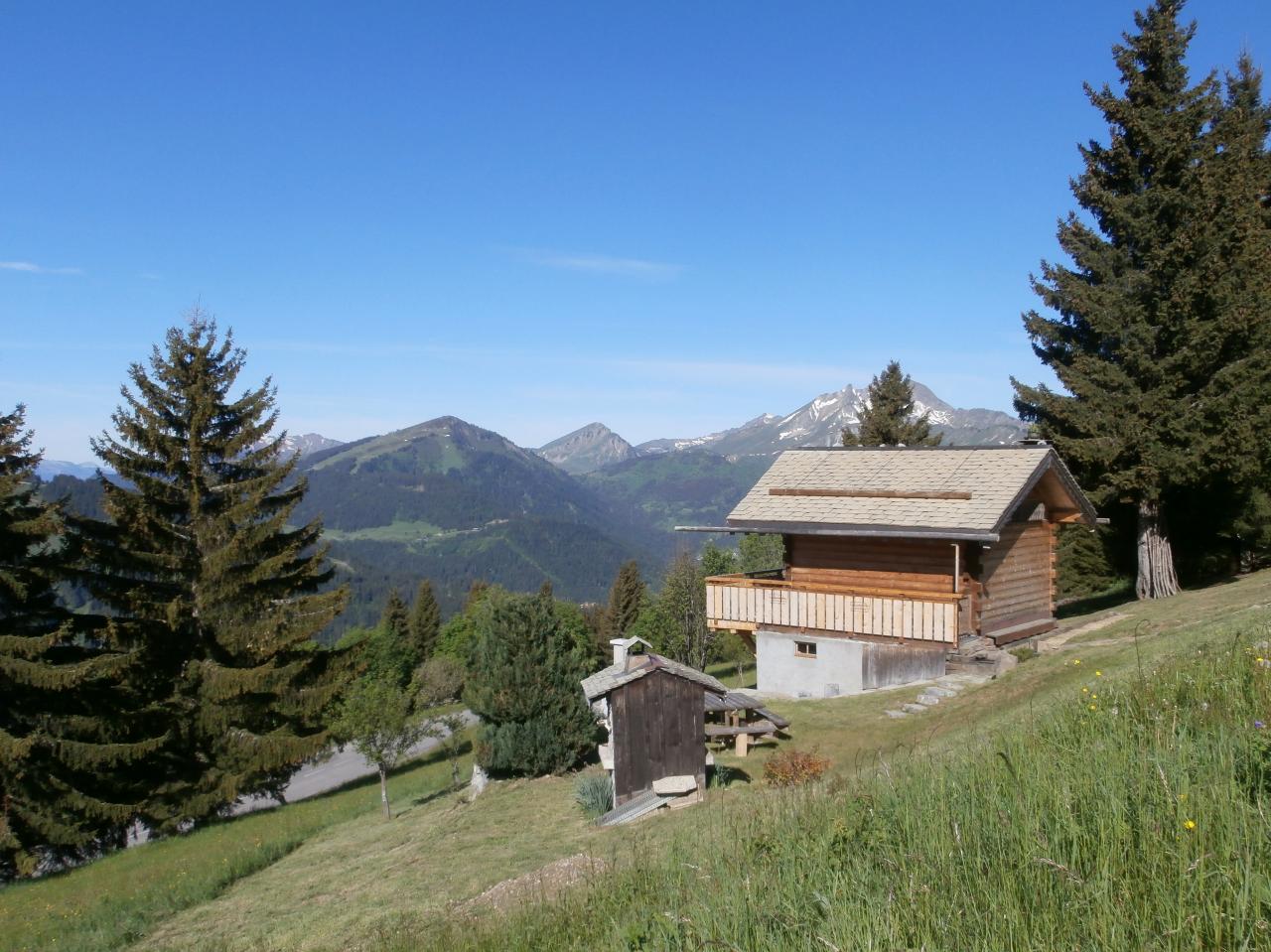 AVORIAZ (43)