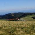 Ballon d'alsace (252)
