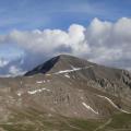 BONETTE