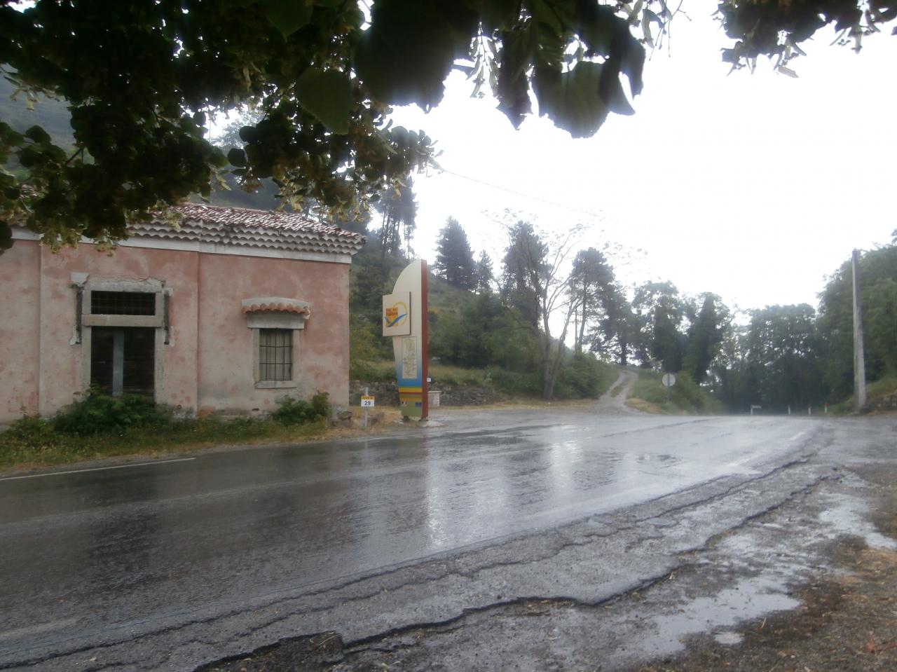 BRAUS (11)