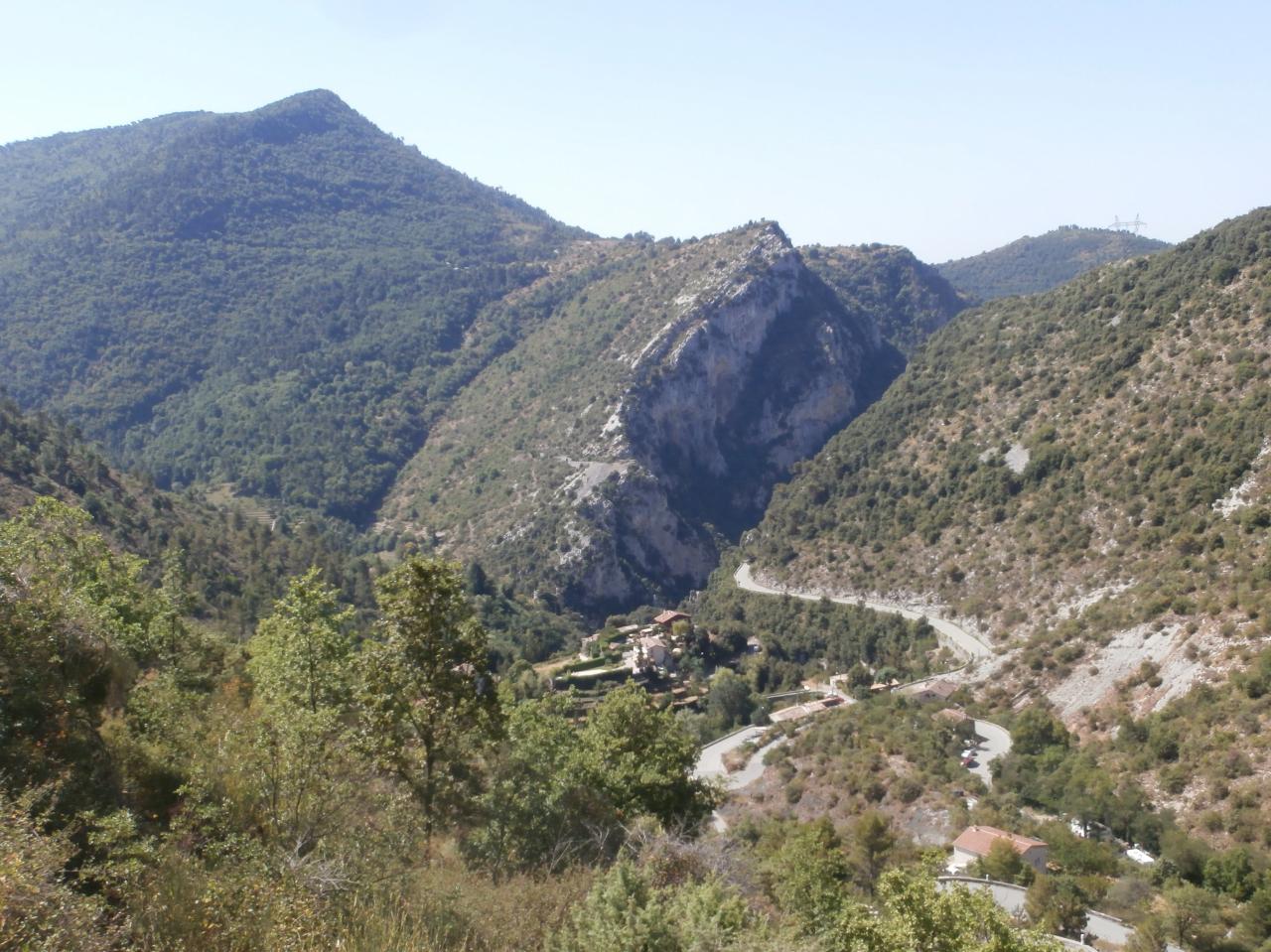 BRAUSS (3)