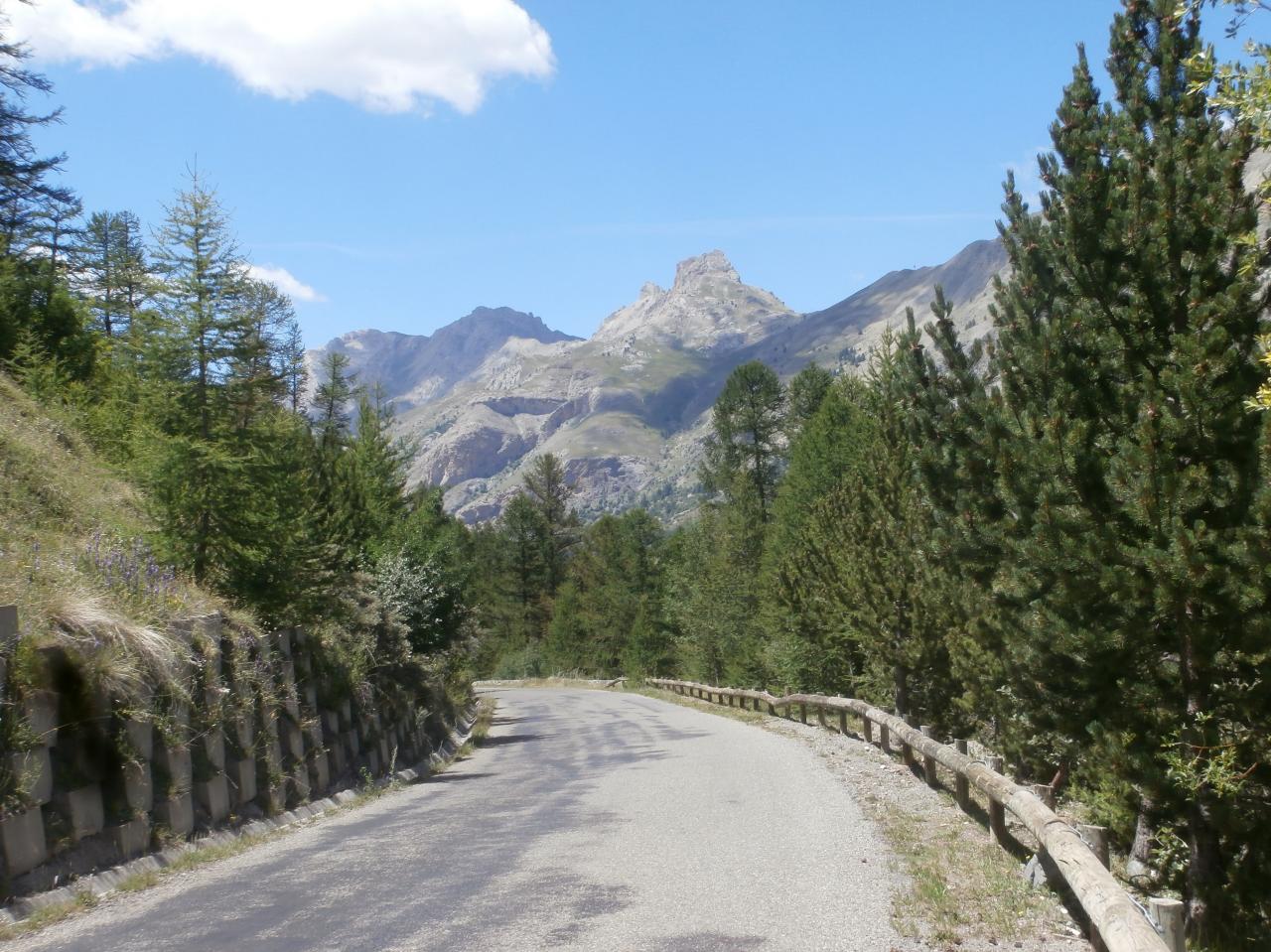 CAYOLLE (11)