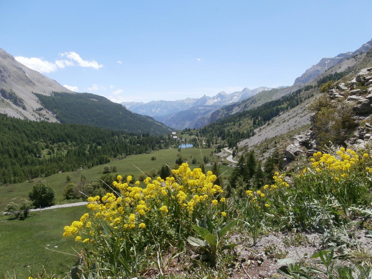 CAYOLLE (58)