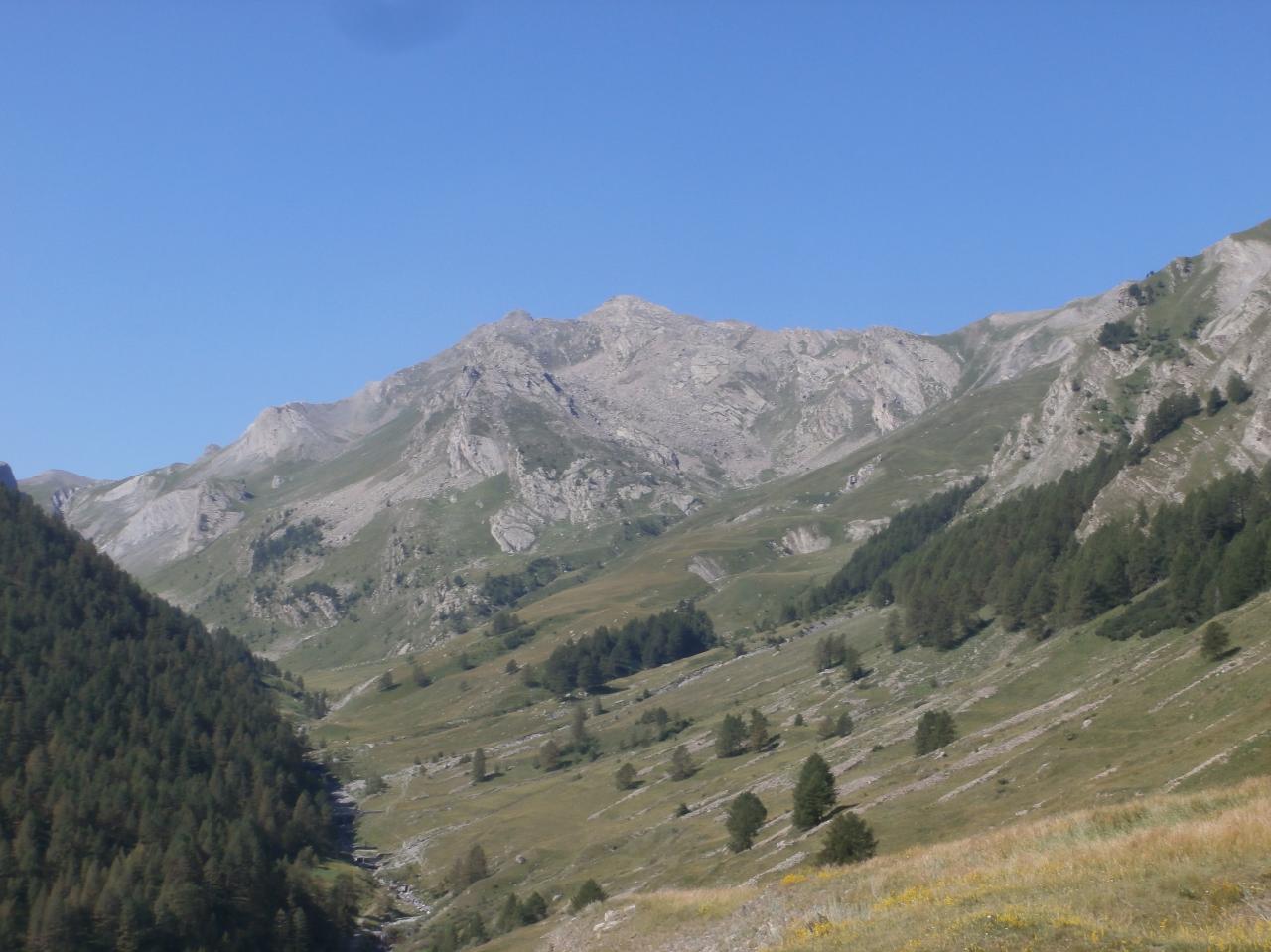 LARCHE