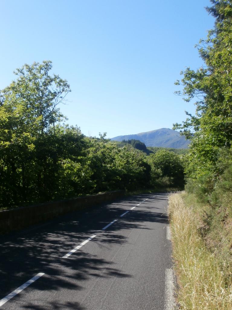 ESPINOUSE (2)