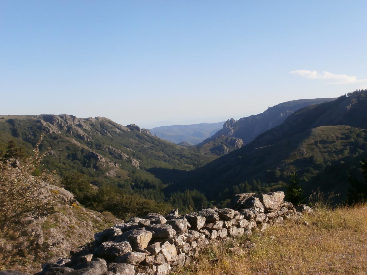 ESPINOUSE (28)