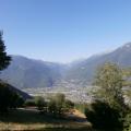 GLANDON (1)