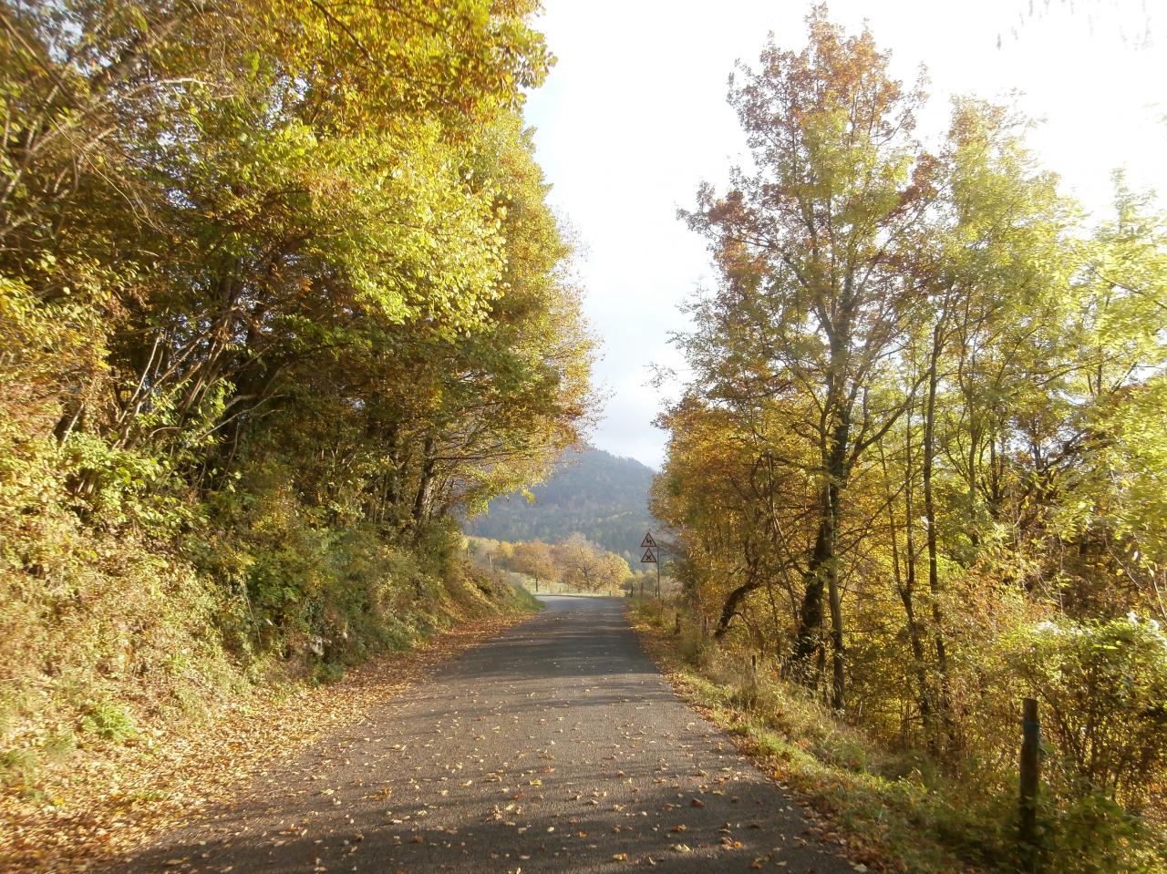 Grand Colombier fêlé (27)