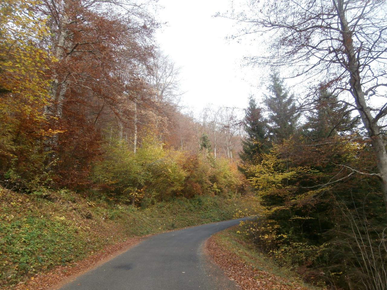 Grand Colombier fêlé (4)