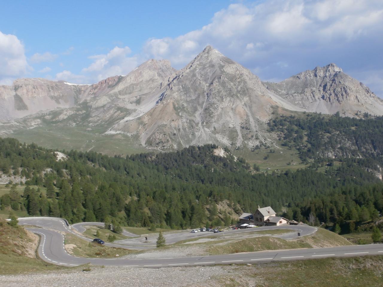 IZOARD 2016 (11)