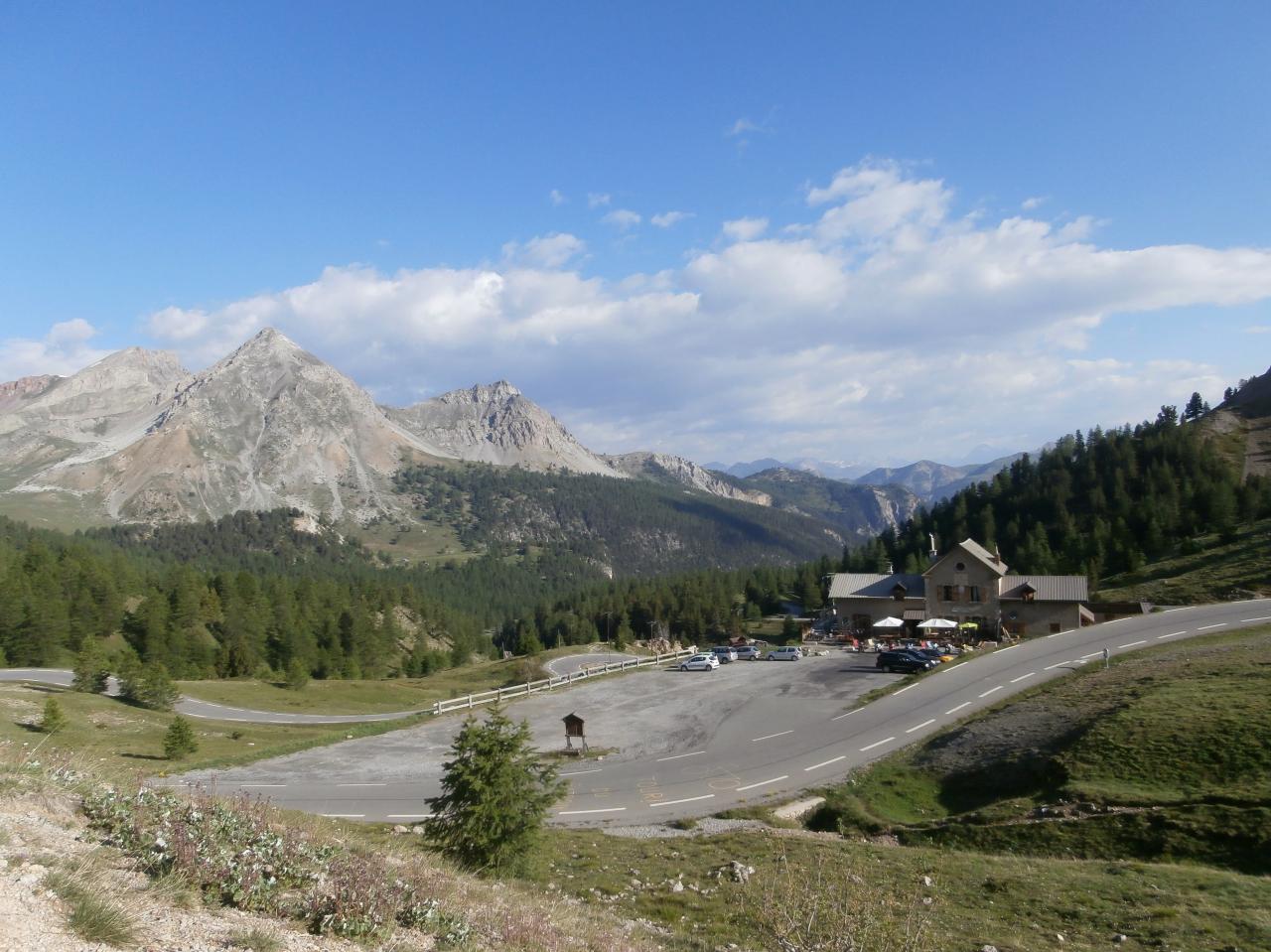 IZOARD 2016 (12)