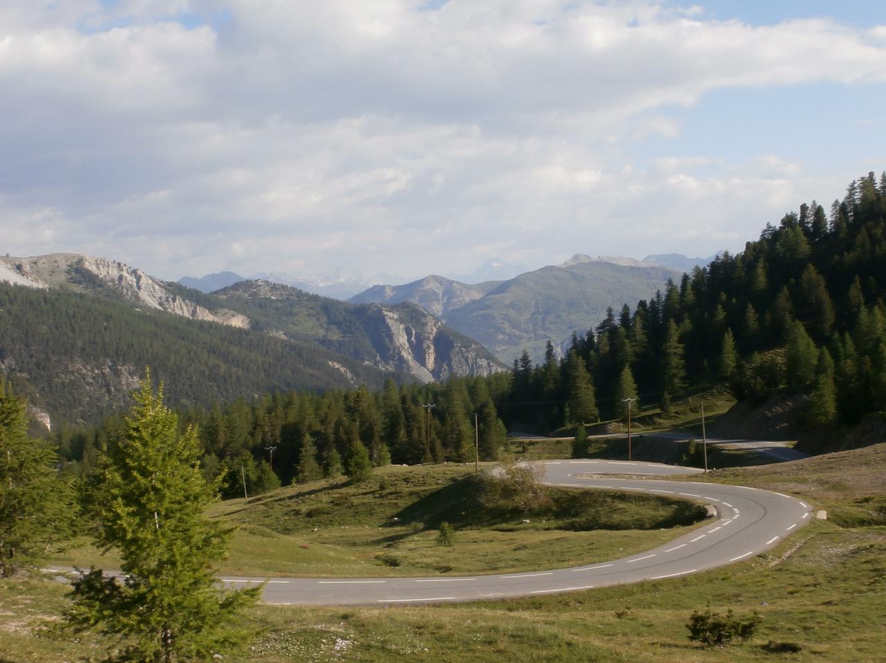 IZOARD 2016 (16)