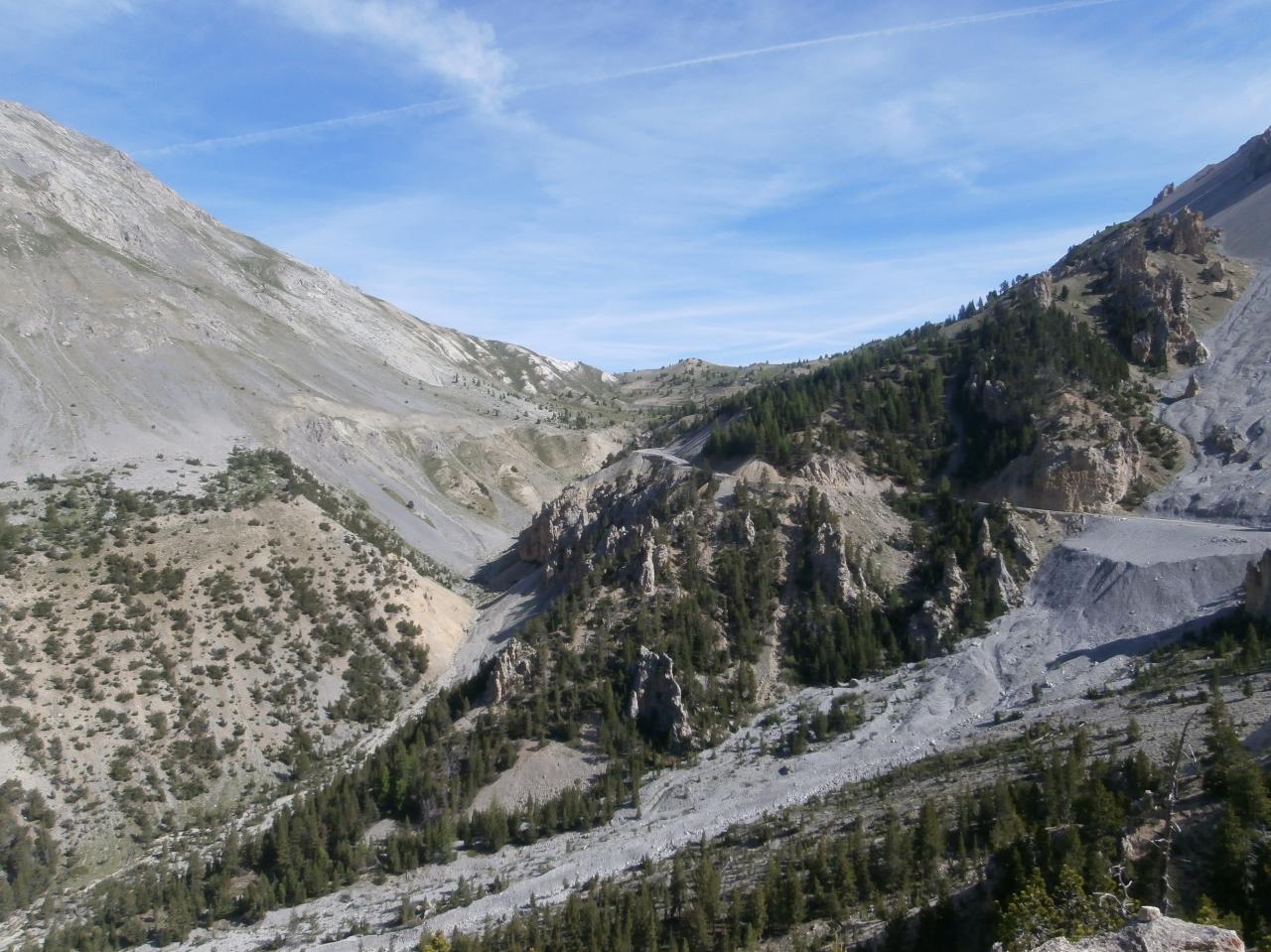 IZOARD (29)