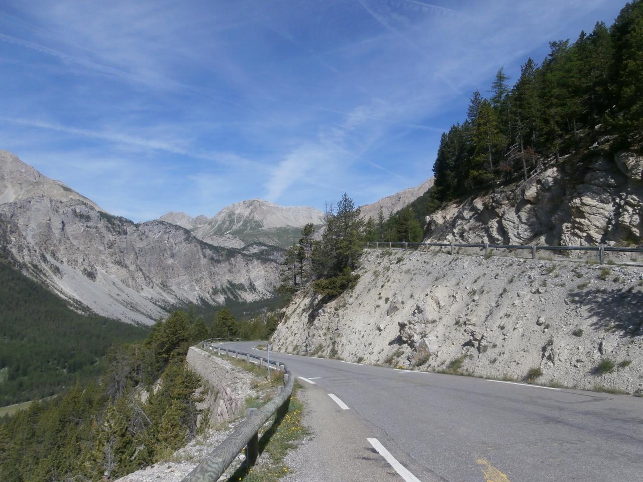 IZOARD (31)