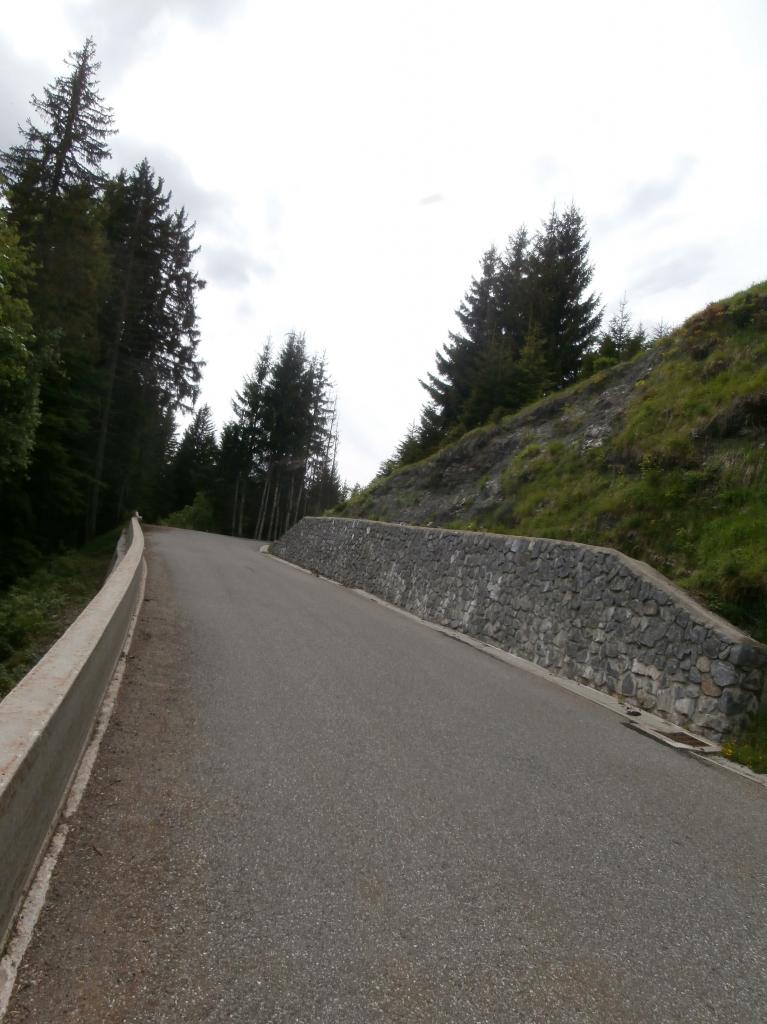 JOUX PLANE (10)