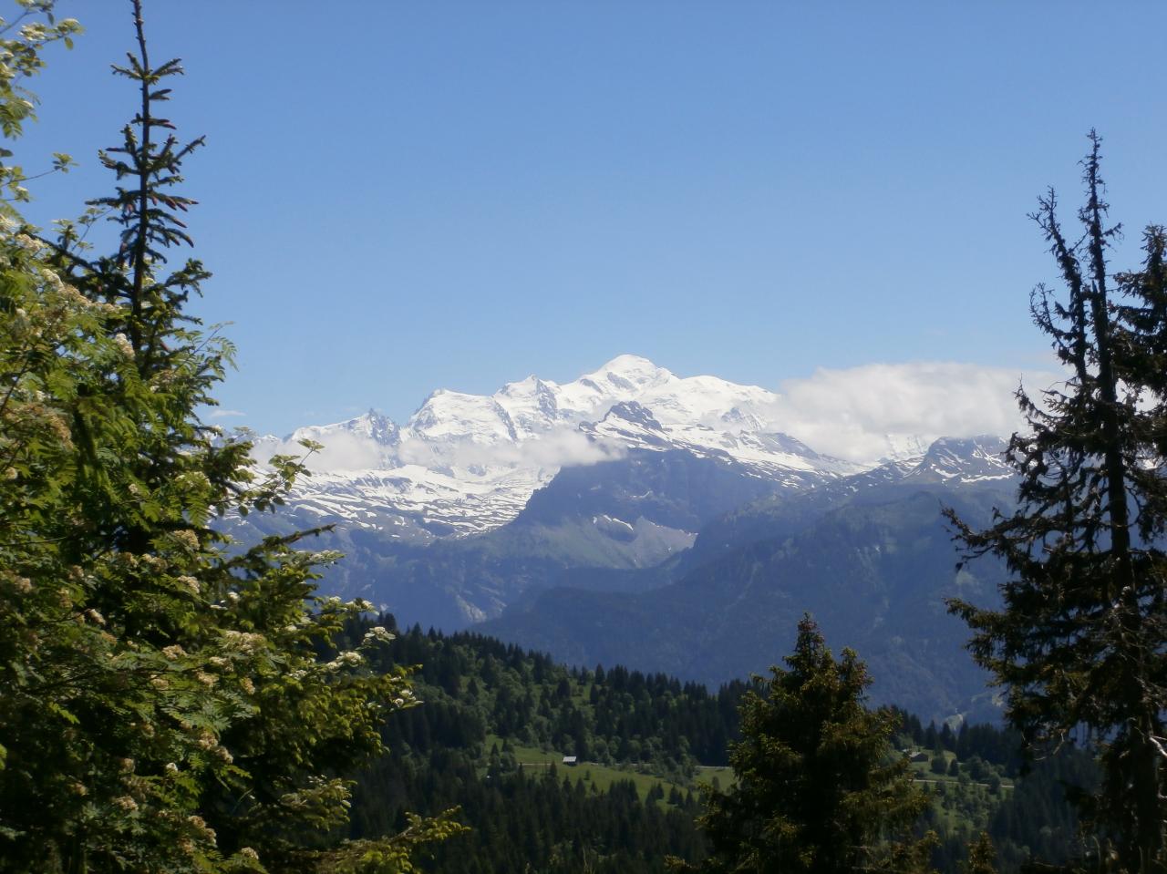 JOUX PLANE 2016 (5)