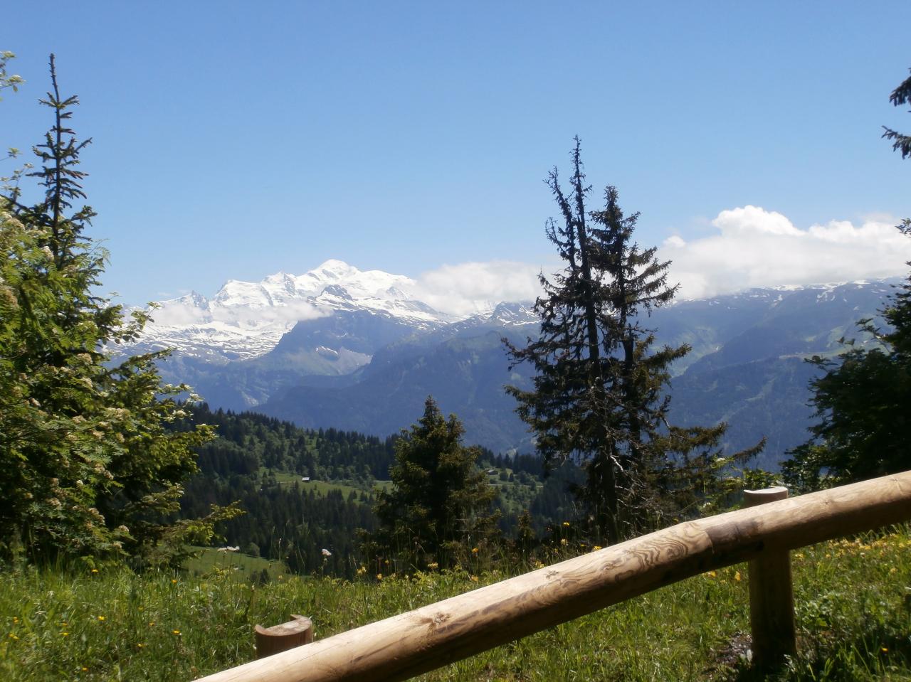 JOUX PLANE 2016 JUILLET (3)