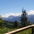 JOUX PLANE 2016 JUILLET (3)