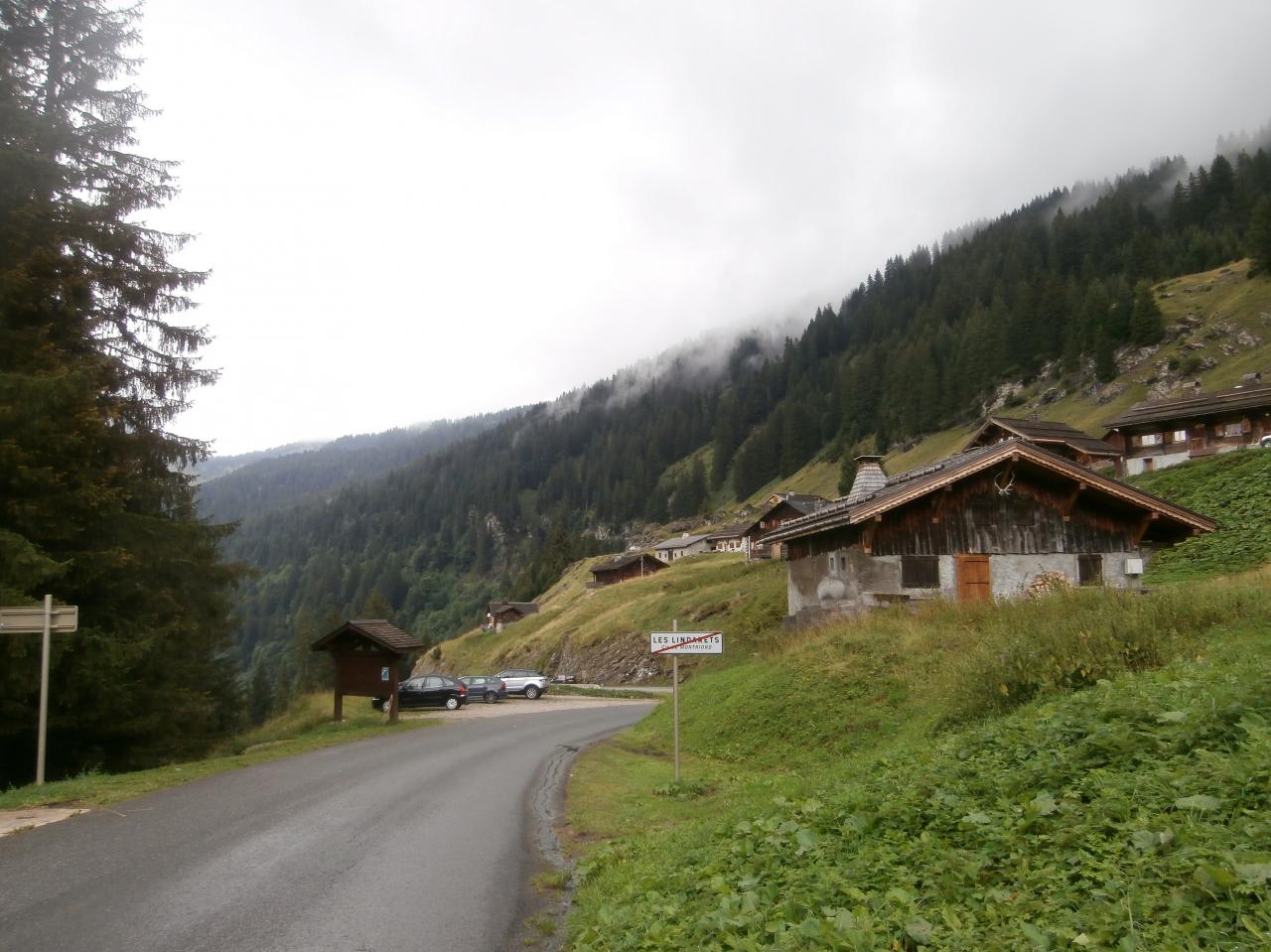 JOUX VERTE (22)