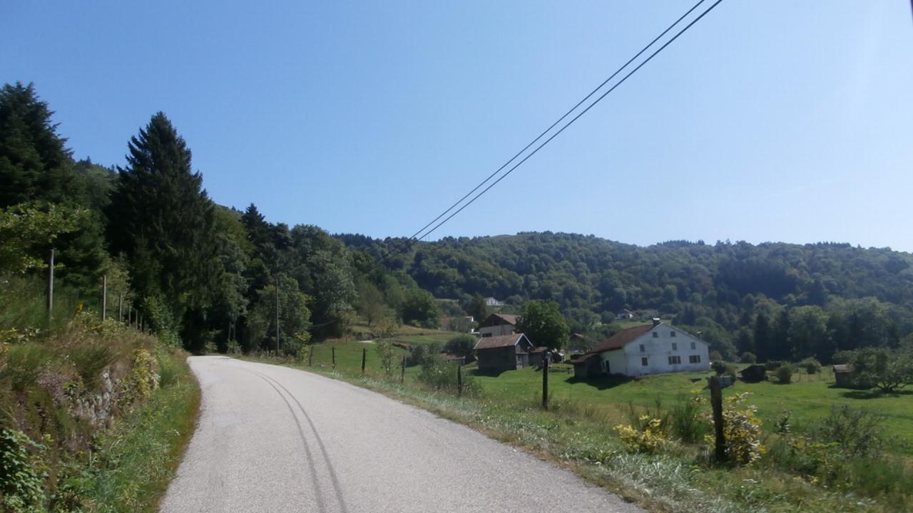 LAUVY