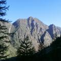 LOMBARDE (20)