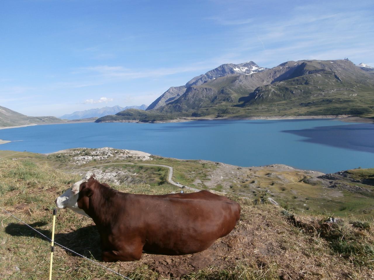 MONT CENIS (10)