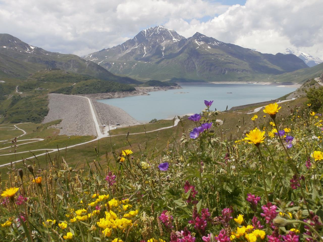 MONTE CENISO (4)