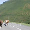 PIERRE ST MARTIN (6)