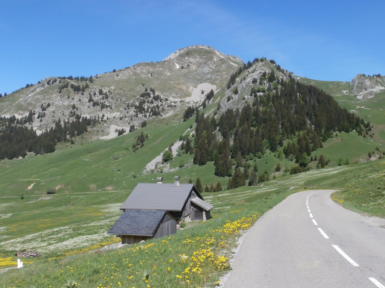 RAMAZ (33)