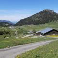 RAMAZ (34)