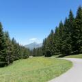 RANFOLY (1)