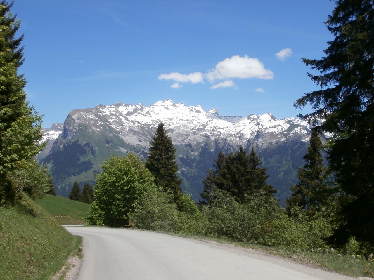 SAIX PLATEAU (22)