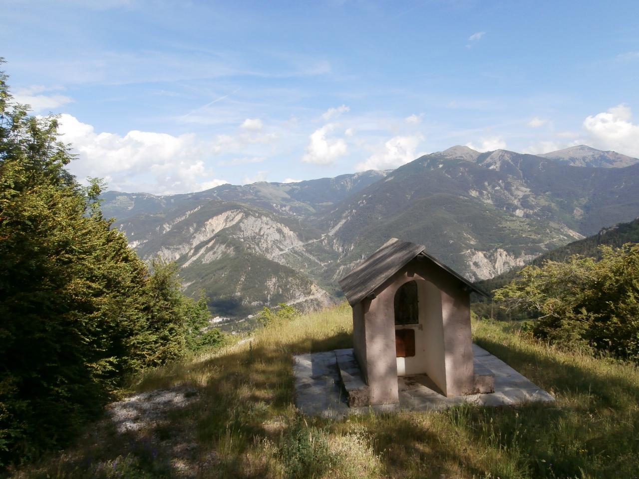 SAUZE (8)