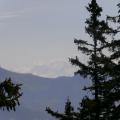 SEMNOZ (11)