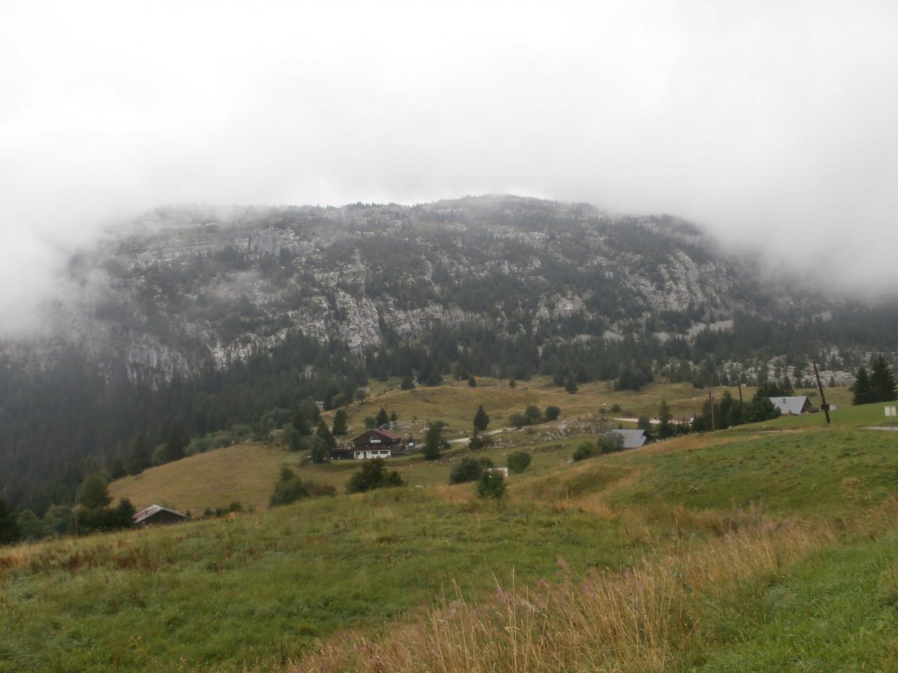 SOLAISON (17)