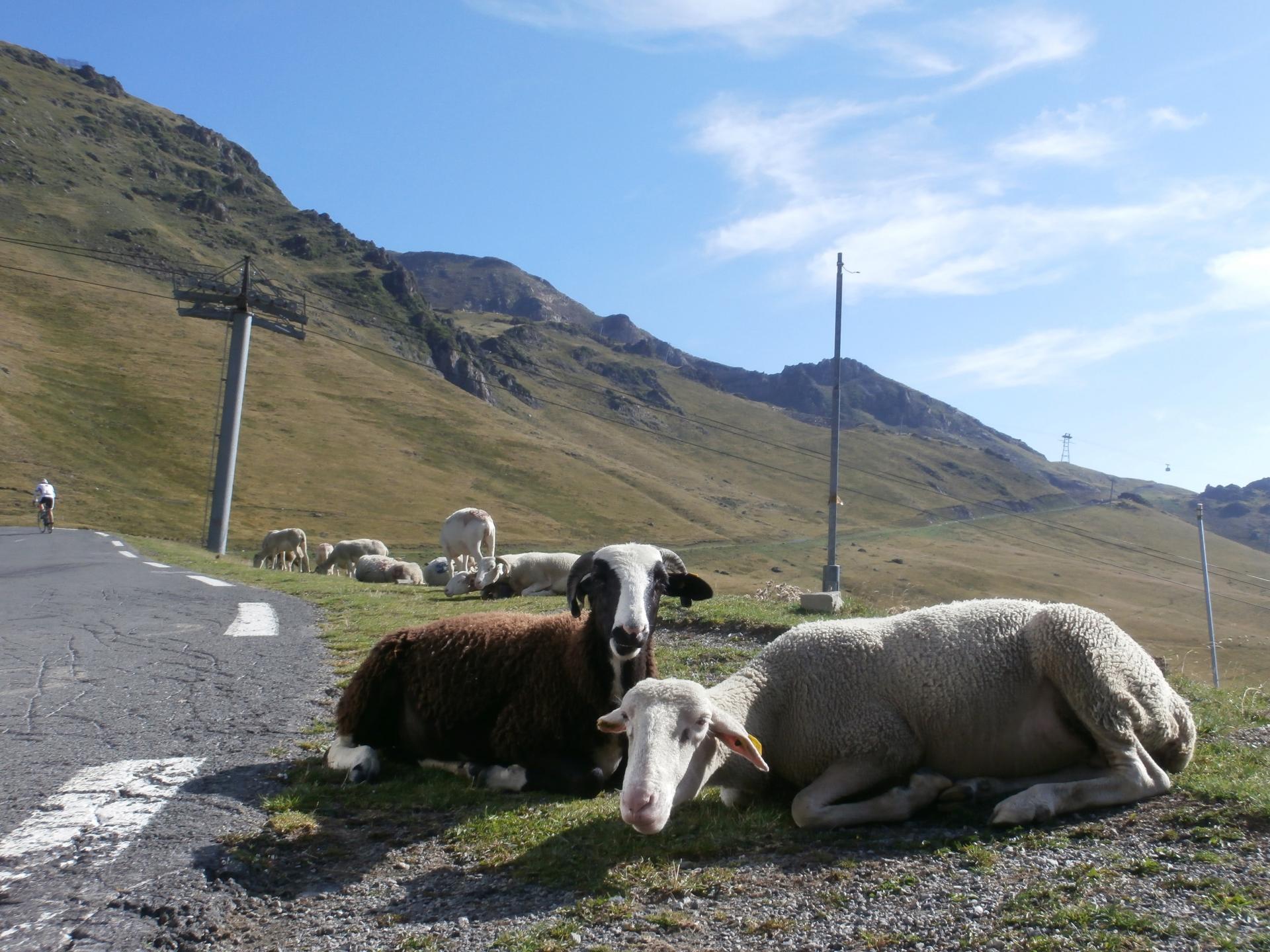 TOURMALET 2018