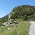 TRECHAUFFE (15)