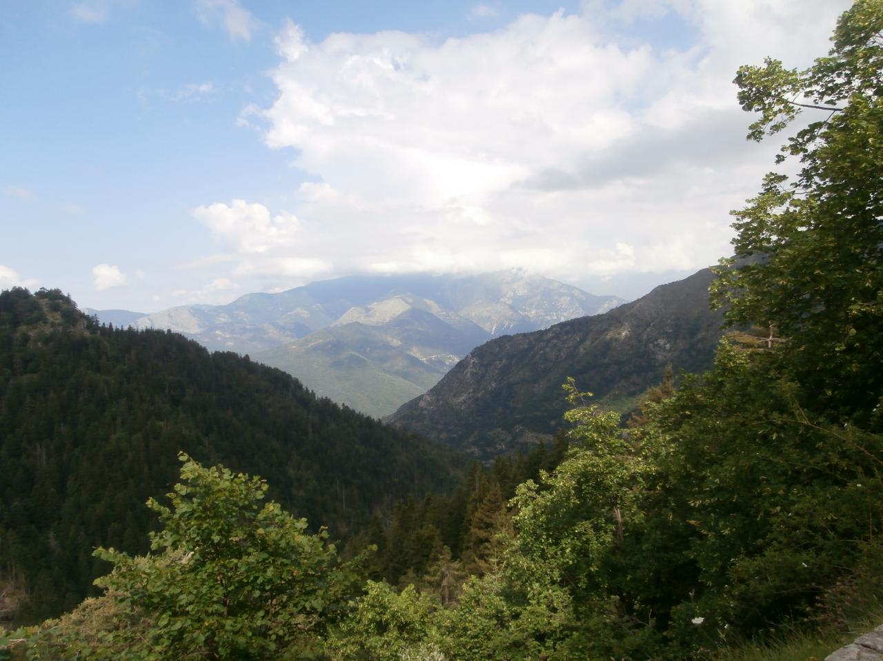 TURINI (37)