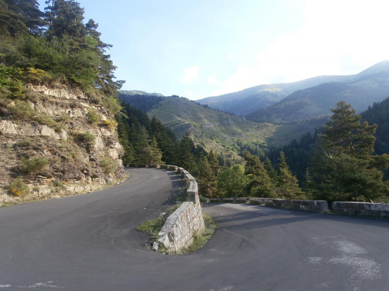 TURINI (7)