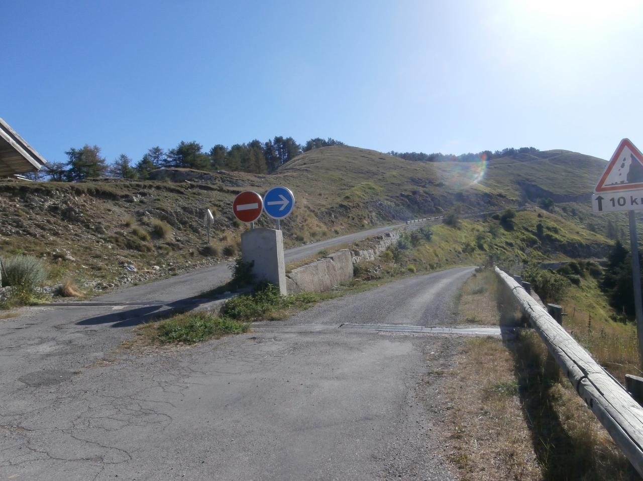 TURINI AUTHION 2017