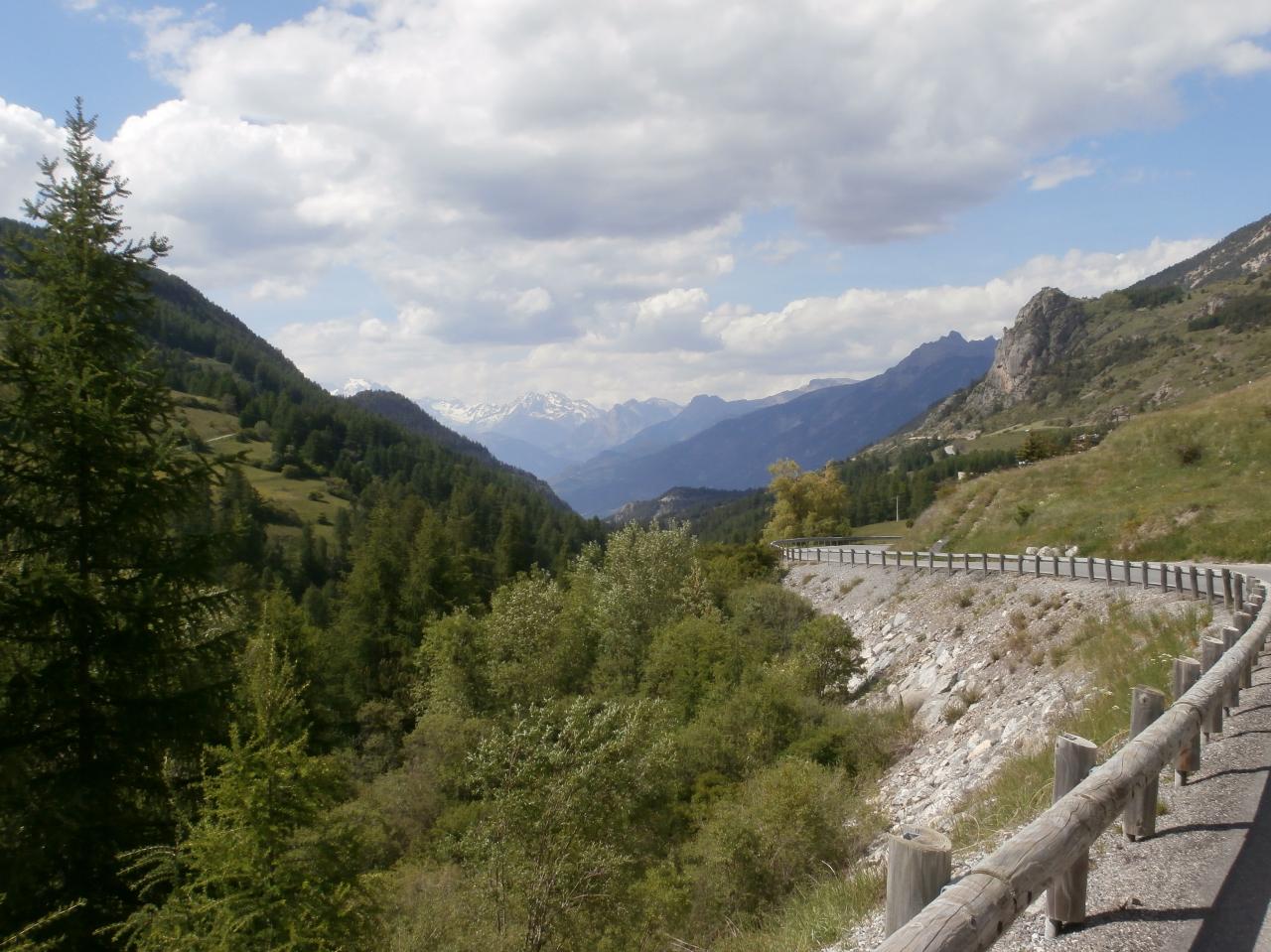 VARS (29)